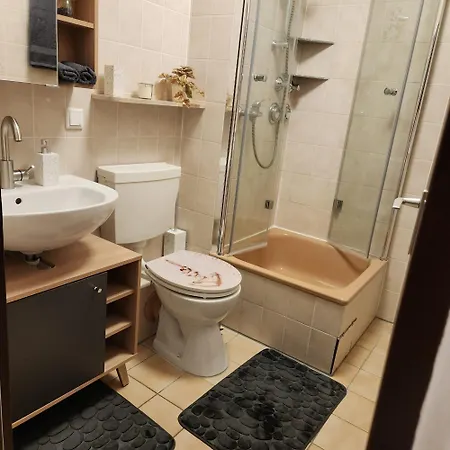 Apartment Zentrale Und Gemuetliche